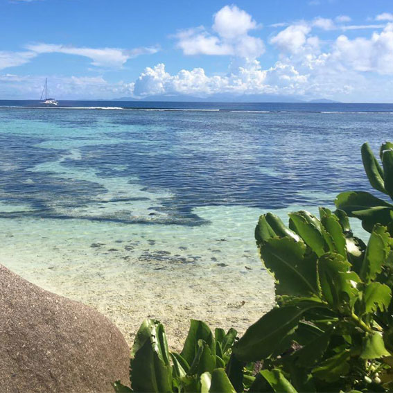 Vacanze crociera caraibi grenadine in catamarano barca a vela