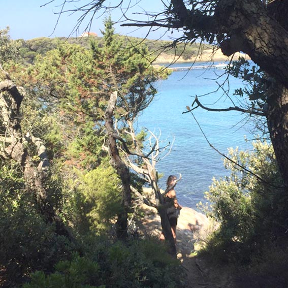 Crociera Isole Porquerolles in catamarano barca a vela